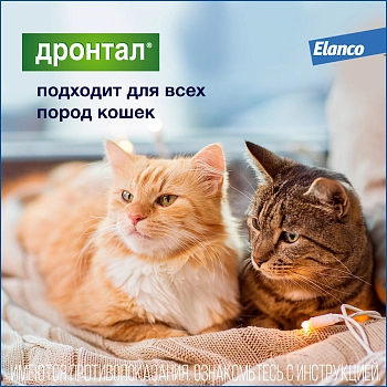 Дронтал для кошек