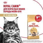 Royal Canin Maine Coon Adult для кошек породы мейн-кун