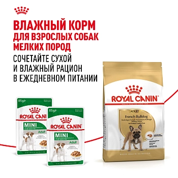 Royal Canin French Bulldog Adult для собак породы французский бульдог