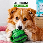 Mr.Kranch игрушка для собак арбуз с ароматом курицы
