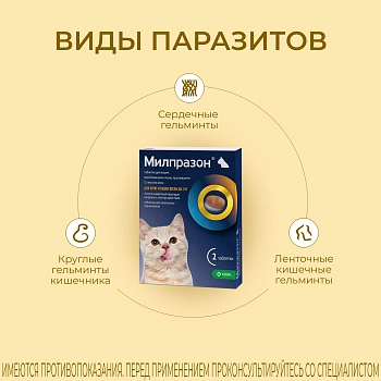 Милпразон антигельминтный препарат для котят кошек менее 2 кг