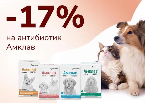 Скидка 17% на антибиотик Амклав