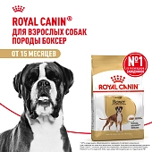 Royal Canin Boxer Adult для взрослых собак породы боксер