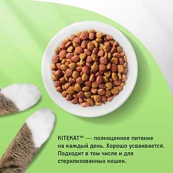Kitekat сухой корм для кошек