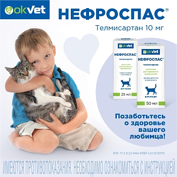 Нефроспас суспензия для кошек