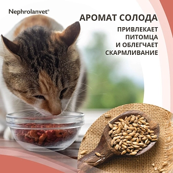 Нефроланвет паста для кошек и собак