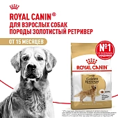 Royal Canin Golden Retriever Adult для собак породы голден-ретривер