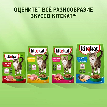 Kitekat сухой корм для кошек