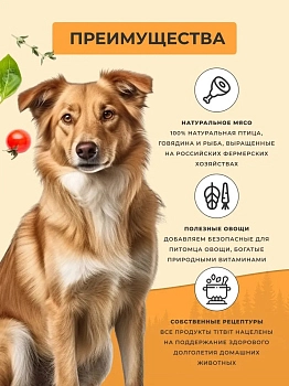 TiTBiT нога говяжья для собак