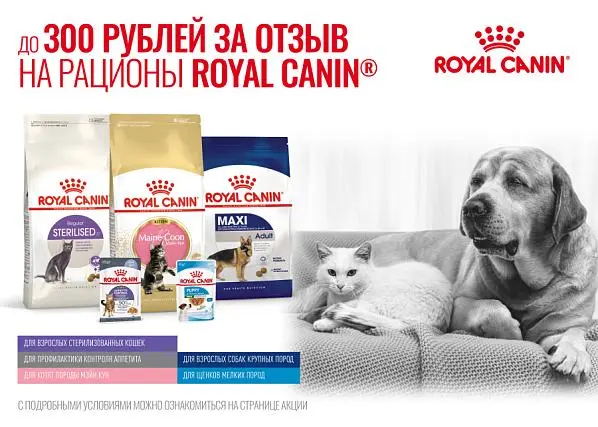 300 рублей за отзыв на продукцию Royal Canin