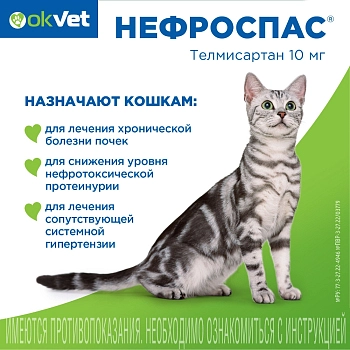 Нефроспас суспензия для кошек