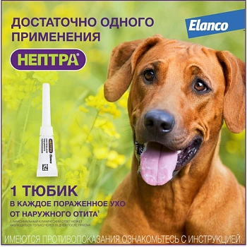 Нептра раствор для лечения наружного отита у собак