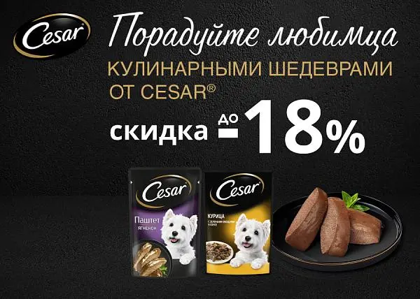 Скидка до 18% на паучи для собак Cesar