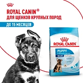Royal Canin Maxi Puppy для щенков крупных пород