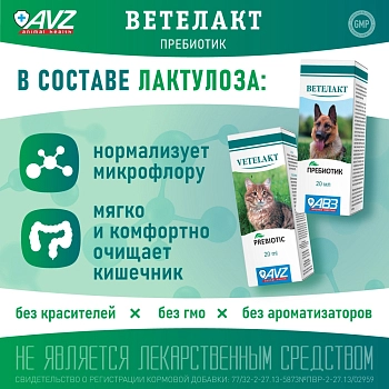 Ветелакт