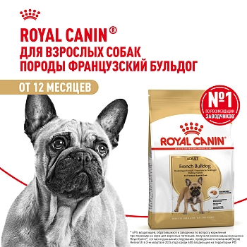 Royal Canin French Bulldog Adult для собак породы французский бульдог