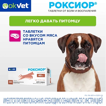 Роксиор таблетки для собак