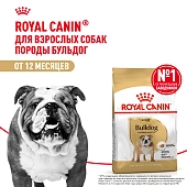 Royal Canin Bulldog Adult для собак породы бульдог