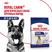 Royal Canin Maxi Adult 5+ для собак старше 5 лет крупных пород