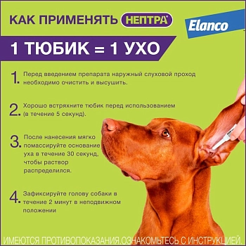 Нептра раствор для лечения наружного отита у собак