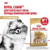 Royal Canin Pomeranian Adult Dry корм для собак породы померанский шпиц