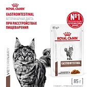 Royal Canin Gastrointestinal пауч для кошек при патологии ЖКТ (кусочки в соусе)
