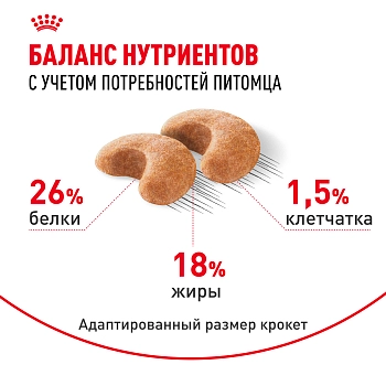 Royal Canin French Bulldog Adult для собак породы французский бульдог