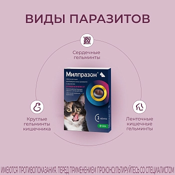 Милпразон антигельминтный препарат для кошек более 2 кг