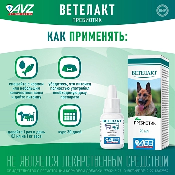 Ветелакт