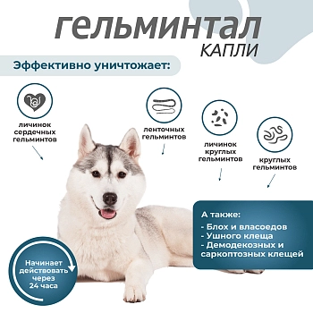 Гельминтал spot-on для собак более 10кг