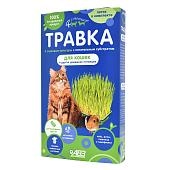Четыре с хвостиком травка для проращивания