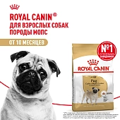 Royal Canin Pug Adult для взрослых собак породы мопс