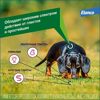 Дронтал Плюс XL для крупных собак