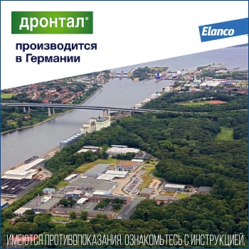 Дронтал для кошек