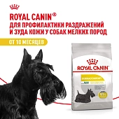 Royal Canin Mini Dermacomfort корм для собак мелких пород с раздраженной кожей