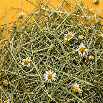 Little One Горное сено с ромашкой