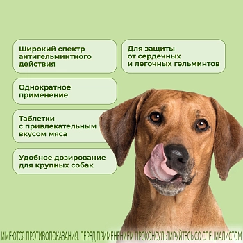 Милпразон антигельминтный препарат для собак более 5 кг