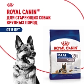 Royal Canin Maxi Ageing 8+ для собак старше 8 лет крупных пород