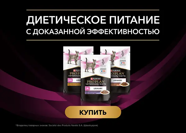 Диетическое питание для вашей кошки от PRO PLAN Veterinary Diets
