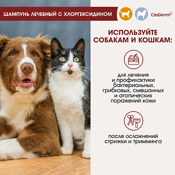 Цитодерм шампунь лечебный с хлоргексидином