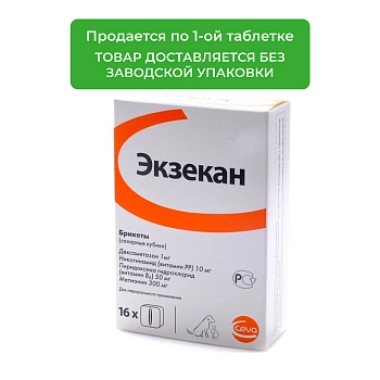 Экзекан