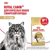 Royal Canin Siberian Adult для взрослых кошек сибирской породы