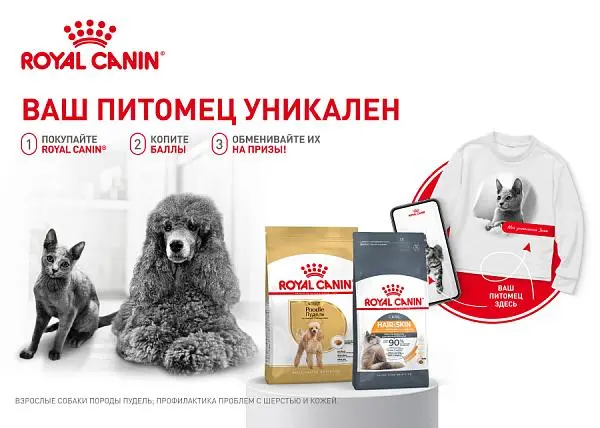 Розыгрыш Royal Canin