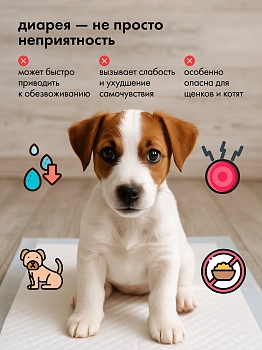 Неодиар для кошек и собак