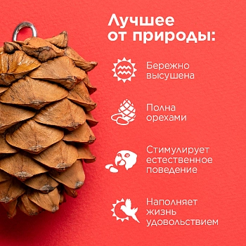 RIO Кедровая шишка для птиц