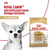 Royal Canin Chihuahua Adult для собак породы чихуахуа