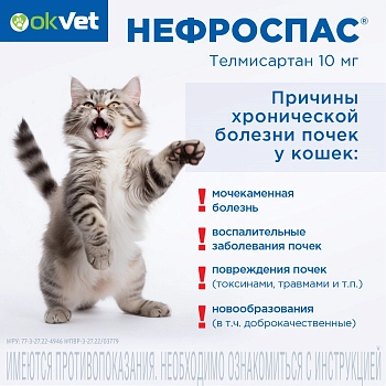 Нефроспас суспензия для кошек