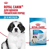 Royal Canin Giant Puppy для щенков до 8 месяцев гигантских пород