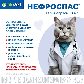 Нефроспас суспензия для кошек