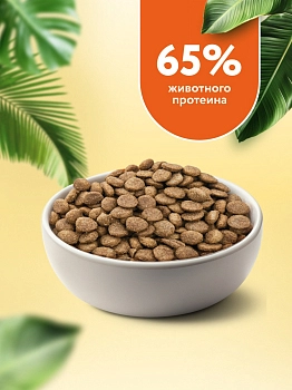 Florida сухой корм для котят